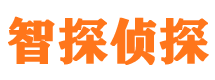 鹤岗侦探公司